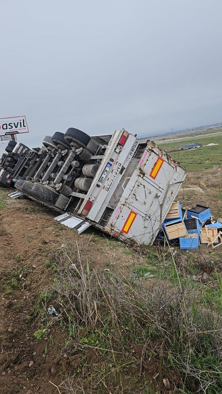 Naloženo na Tir Skade s včela kuře: 1 zraněný
